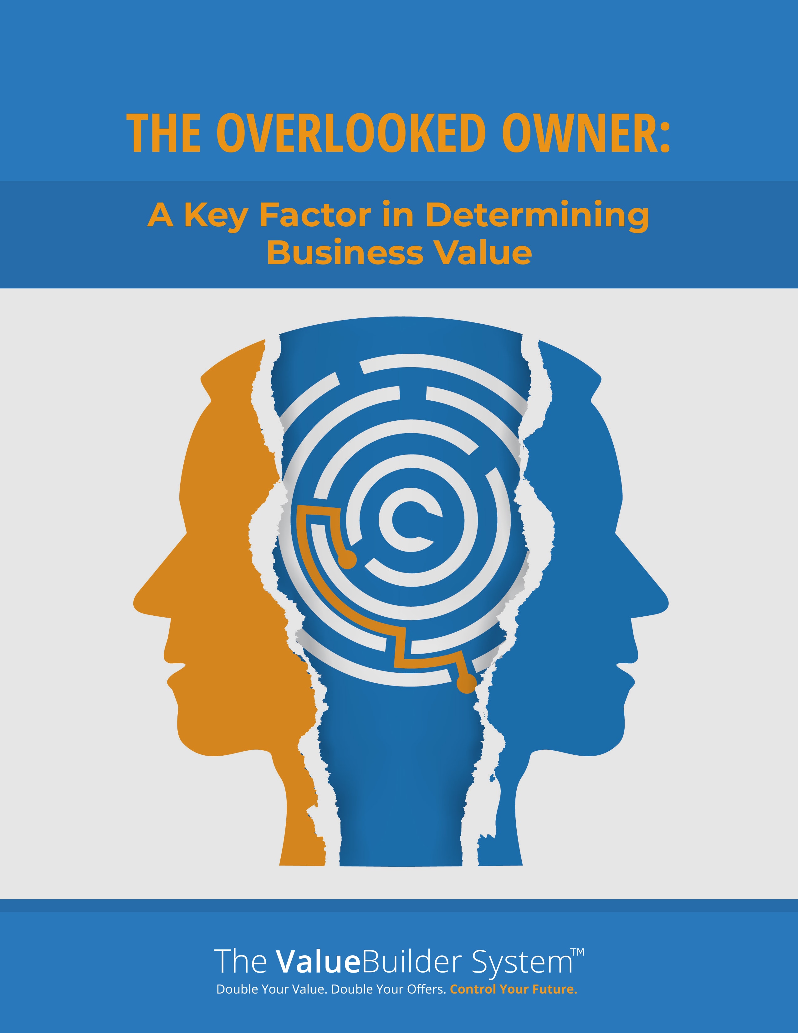 The Overlooked Owner eBook cover